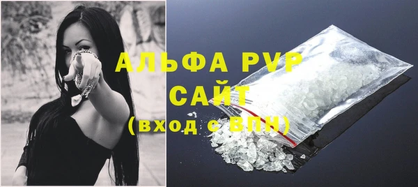 индика Алексин