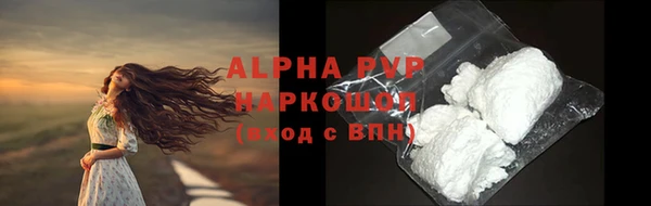 индика Алексин