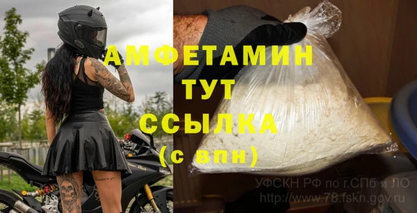 индика Алексин