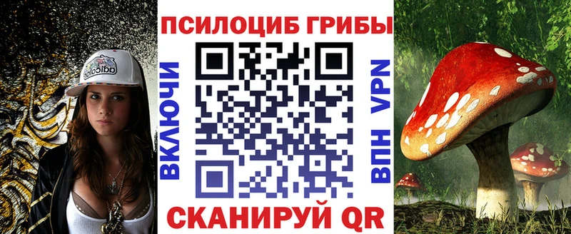 Галлюциногенные грибы Psilocybine cubensis  Алексин 